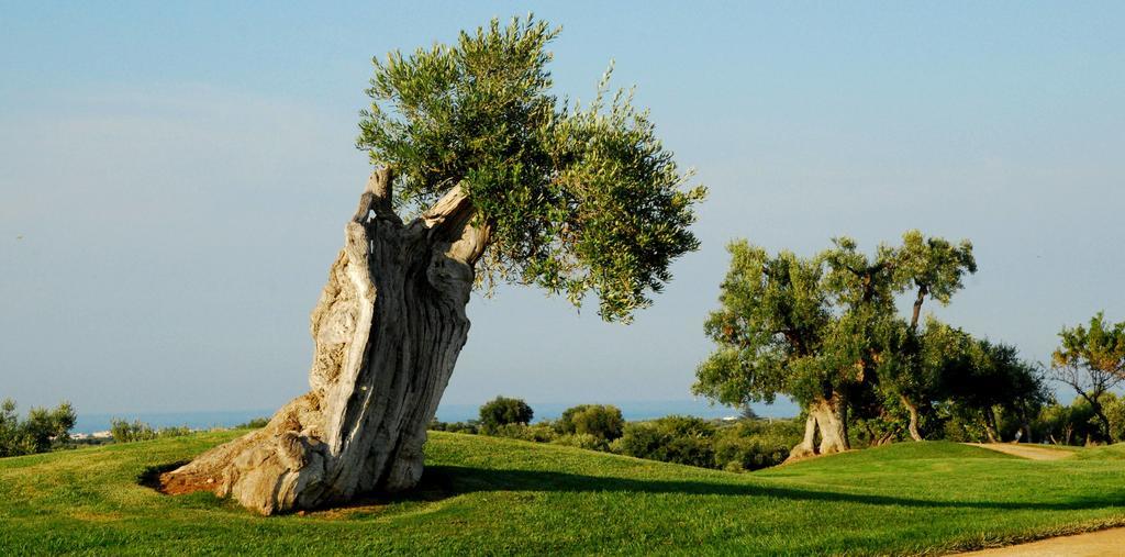 Albergo Masseria Refrigerio Остуни Экстерьер фото
