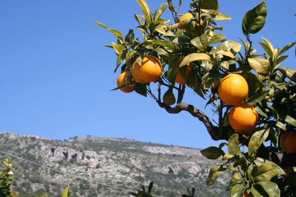 Albergo Masseria Refrigerio Остуни Экстерьер фото